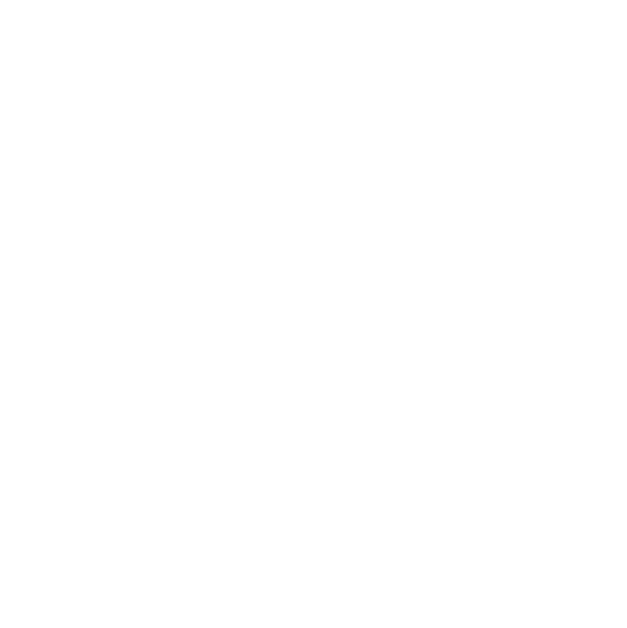 Little Generation Primary Logo