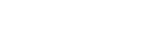 Little Generation Website Logo