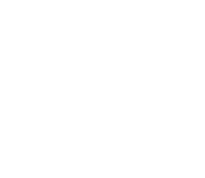 Alta Falls Branding