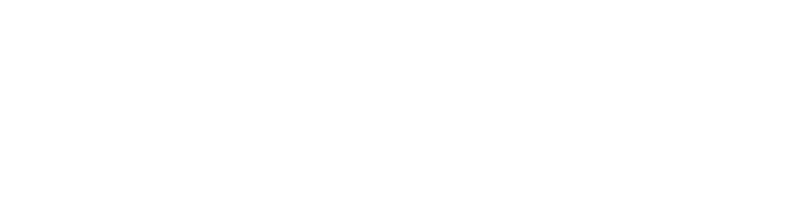 Red Kite Logo Reverse