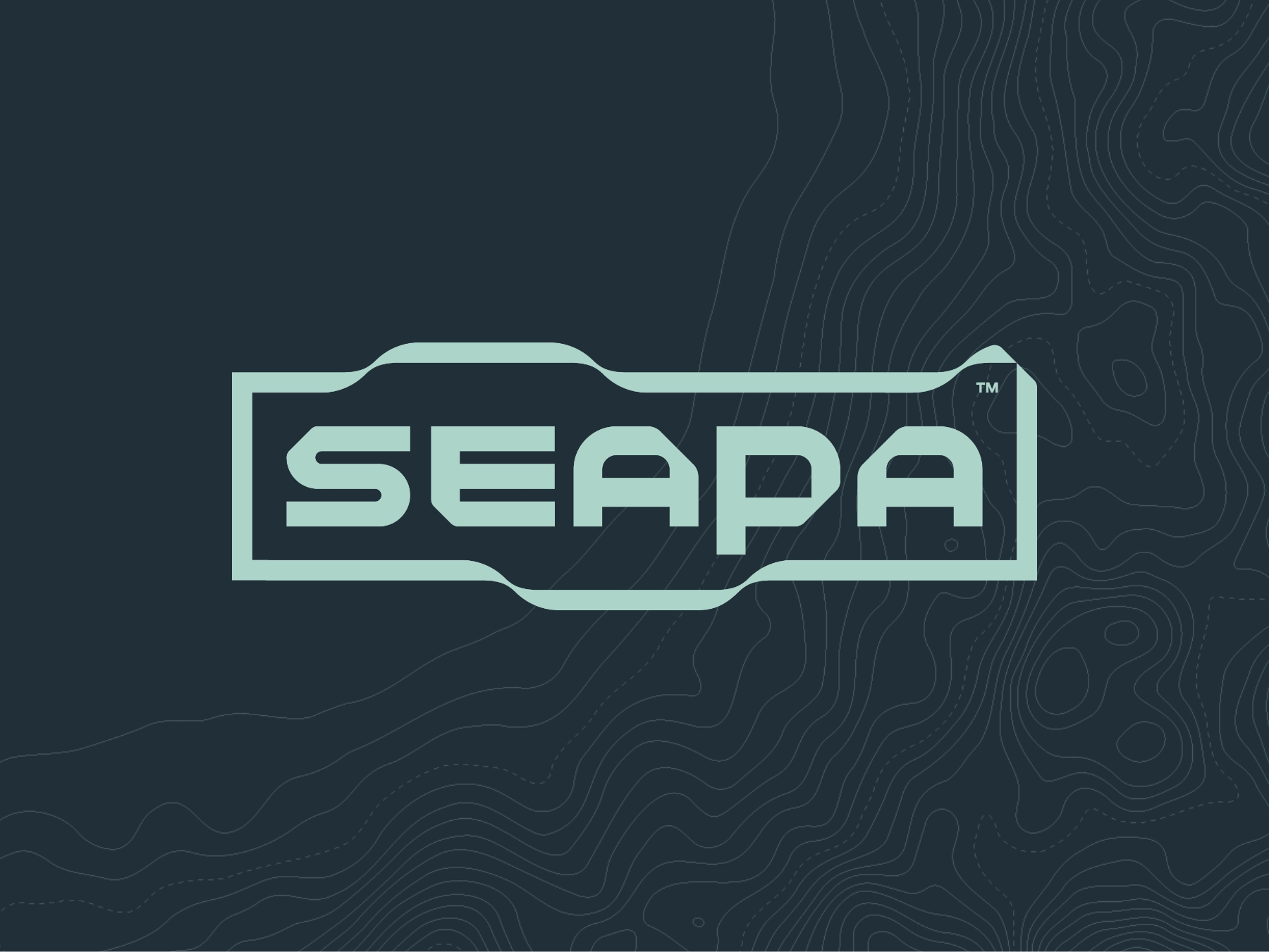 SEAPA Logo Animation